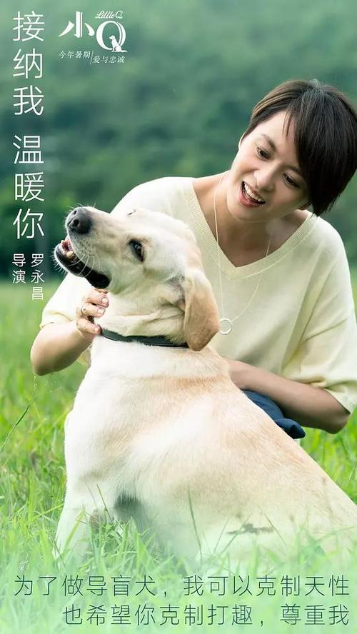 広島文教大学市场开发文凭证书